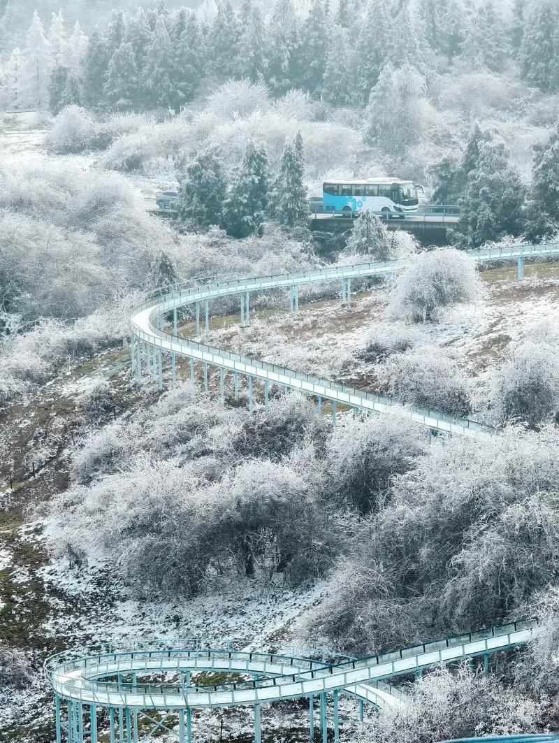 金佛山可以看雪吗?,金佛山可以看雪吗最新消息-第4张图片 金佛山可以看雪吗?,金佛山可以看雪吗最新消息-第4张图片