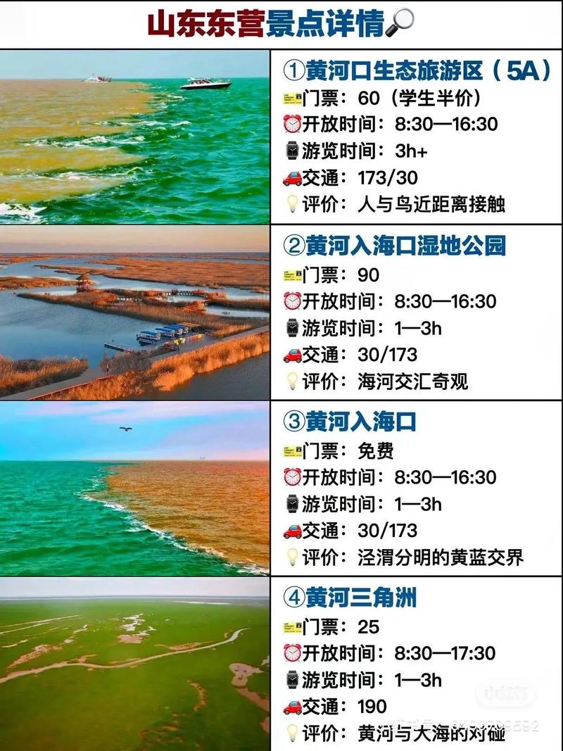 东营风景区旅游攻略(东营风景区哪里比较好玩)-第2张图片 东营风景区旅游攻略(东营风景区哪里比较好玩)-第2张图片