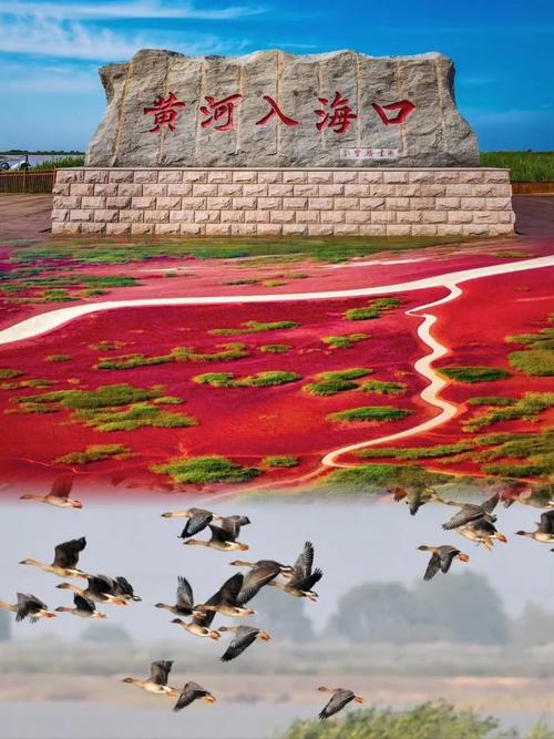 东营风景区旅游攻略(东营风景区哪里比较好玩)-第4张图片 东营风景区旅游攻略(东营风景区哪里比较好玩)-第4张图片
