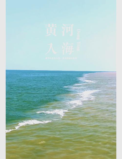 东营风景区旅游攻略(东营风景区哪里比较好玩)-第5张图片 东营风景区旅游攻略(东营风景区哪里比较好玩)-第5张图片