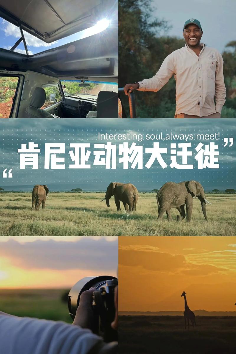 肯尼亚旅游景点攻略一日游多少钱 - 肯尼亚 旅游-第1张图片 肯尼亚旅游景点攻略一日游多少钱 - 肯尼亚 旅游-第1张图片