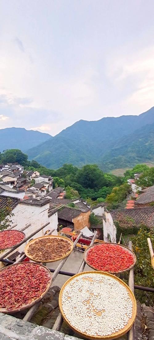 江西婺源游攻略 - 旅游江西婺源-第1张图片 江西婺源游攻略 - 旅游江西婺源-第1张图片