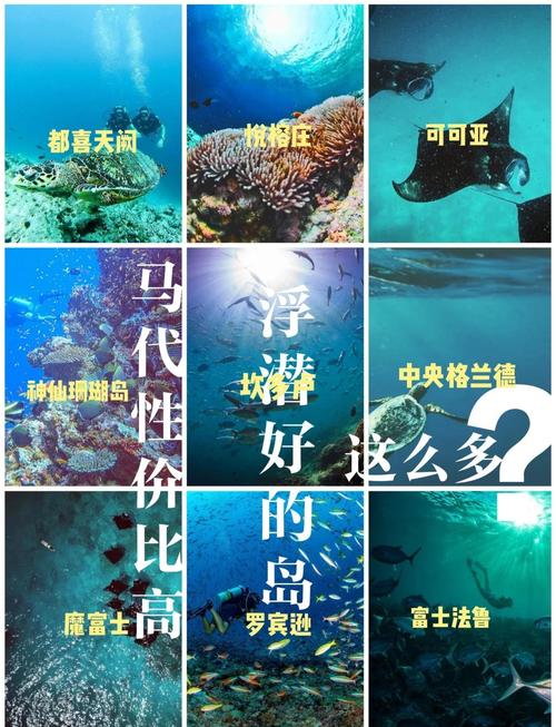 马尔代夫度假旅游,马尔代夫度假旅游多少钱-第5张图片 马尔代夫度假旅游,马尔代夫度假旅游多少钱-第5张图片