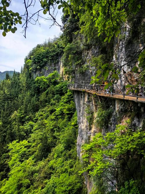 达州旅游介绍,达州前十旅游景点有哪些-第5张图片 达州旅游介绍,达州前十旅游景点有哪些-第5张图片