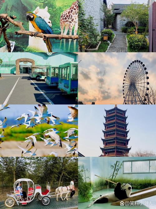 盐城旅游攻略必玩的景点 - 盐城旅游攻略必玩的景点有哪些-第1张图片 盐城旅游攻略必玩的景点 - 盐城旅游攻略必玩的景点有哪些-第1张图片