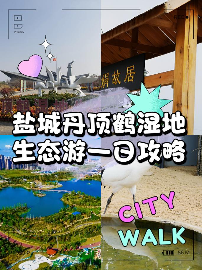 盐城旅游攻略必玩的景点 - 盐城旅游攻略必玩的景点有哪些-第2张图片 盐城旅游攻略必玩的景点 - 盐城旅游攻略必玩的景点有哪些-第2张图片