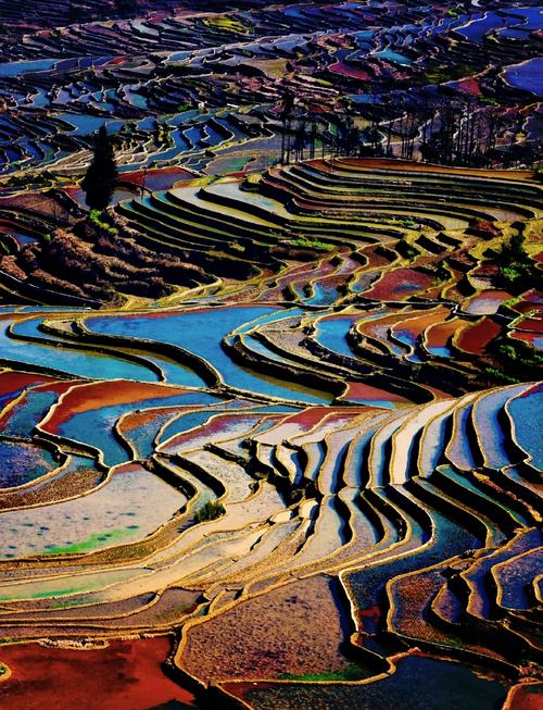 红河有什么旅游景点 - 红河旅游景点有哪些好玩的地方-第4张图片 红河有什么旅游景点 - 红河旅游景点有哪些好玩的地方-第4张图片