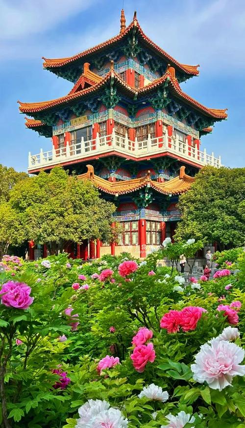 洛阳牡丹景点大全景点排名榜(河南洛阳牡丹旅游景点大全介绍)-第1张图片 洛阳牡丹景点大全景点排名榜(河南洛阳牡丹旅游景点大全介绍)-第1张图片