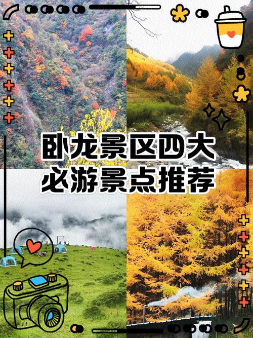 四川卧龙旅游攻略要玩多久才能玩好,四川卧龙旅游景点-第4张图片 四川卧龙旅游攻略要玩多久才能玩好,四川卧龙旅游景点-第4张图片