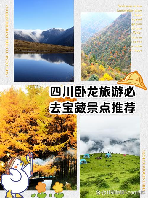 四川卧龙旅游攻略要玩多久才能玩好,四川卧龙旅游景点-第6张图片 四川卧龙旅游攻略要玩多久才能玩好,四川卧龙旅游景点-第6张图片