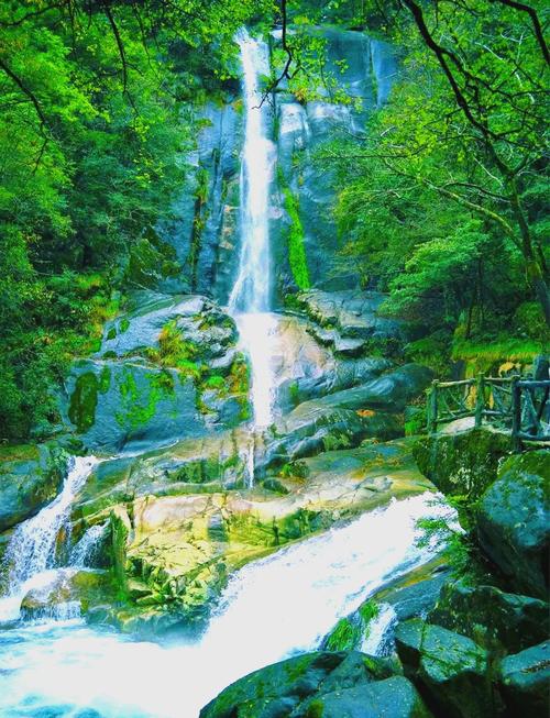 四川卧龙风景区海拔,四川卧龙风景区海拔多少-第3张图片 四川卧龙风景区海拔,四川卧龙风景区海拔多少-第3张图片