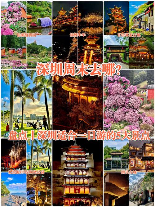春节深圳旅游景点大全介绍 - 2021春节深圳去哪玩-第3张图片 春节深圳旅游景点大全介绍 - 2021春节深圳去哪玩-第3张图片
