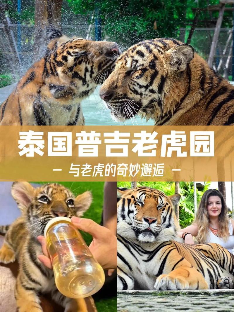 泰国普吉岛游玩英文版简要(普吉岛景点英文)-第5张图片 泰国普吉岛游玩英文版简要(普吉岛景点英文)-第5张图片