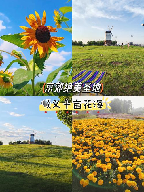 顺义比较出名的农家乐有哪些 - 顺义区农家乐周边游-第5张图片 顺义比较出名的农家乐有哪些 - 顺义区农家乐周边游-第5张图片