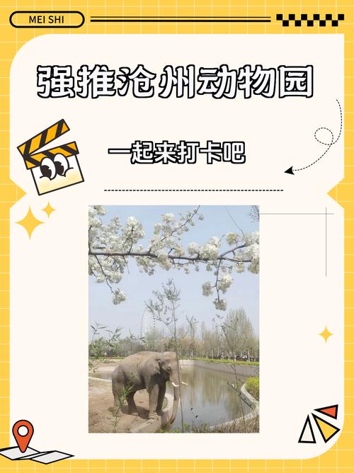 沧州市旅游攻略一日游(沧州市内一日游)-第5张图片 沧州市旅游攻略一日游(沧州市内一日游)-第5张图片