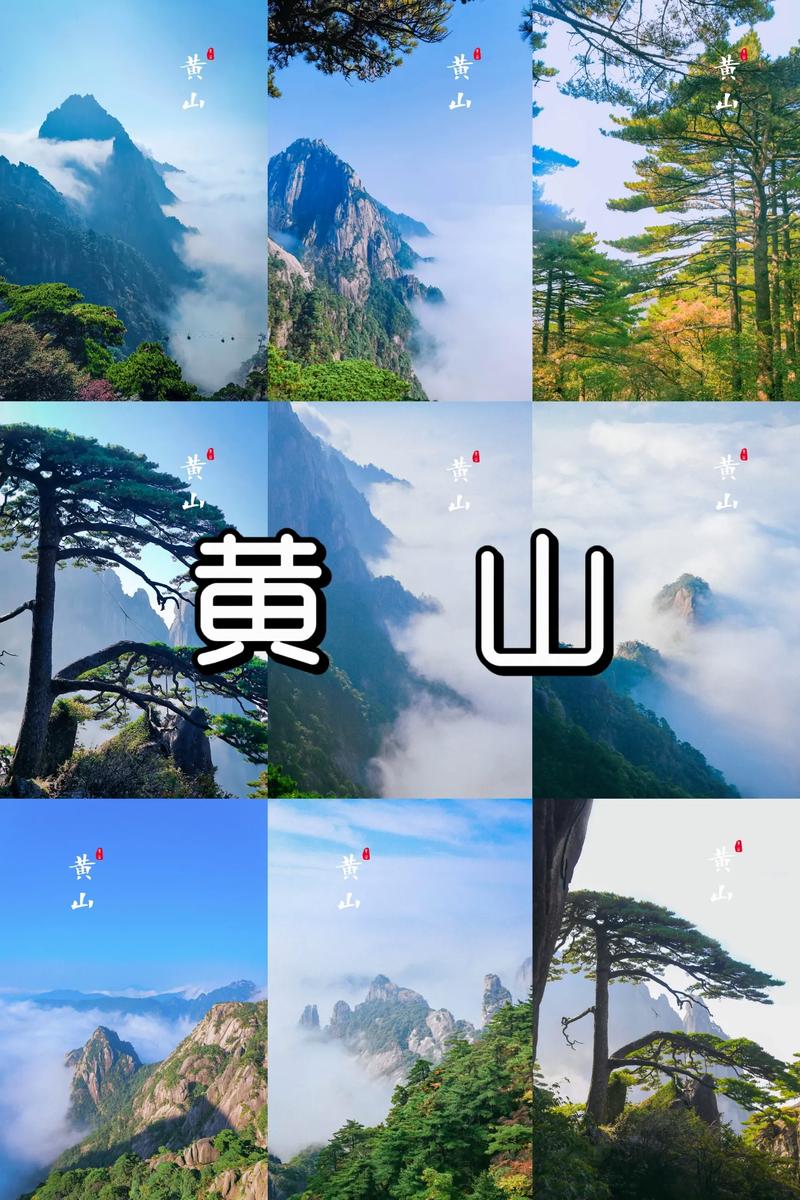 黄山景区旅游市场细分及营销策略 - 黄山旅游案例分析-第2张图片 黄山景区旅游市场细分及营销策略 - 黄山旅游案例分析-第2张图片