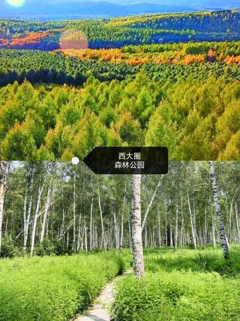 七台河一日游去哪里比较好玩 - 七台河能玩的地方-第1张图片 七台河一日游去哪里比较好玩 - 七台河能玩的地方-第1张图片