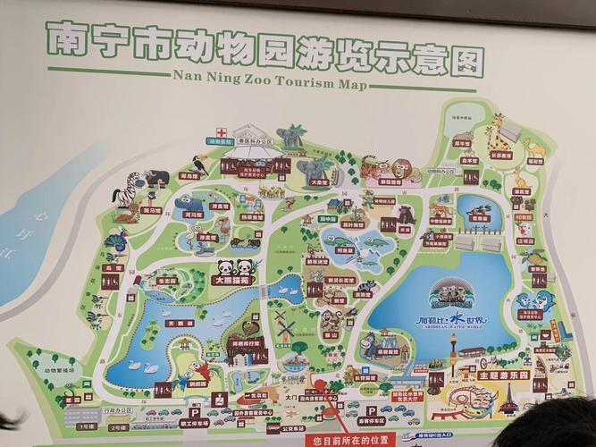南宁旅游攻略必玩的景点动物园(南宁动物园门票可以玩什么)-第3张图片 南宁旅游攻略必玩的景点动物园(南宁动物园门票可以玩什么)-第3张图片