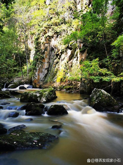 黑龙江伊春旅游必去前十景点 - 黑龙江伊春旅游必去前十景点排名-第1张图片 黑龙江伊春旅游必去前十景点 - 黑龙江伊春旅游必去前十景点排名-第1张图片