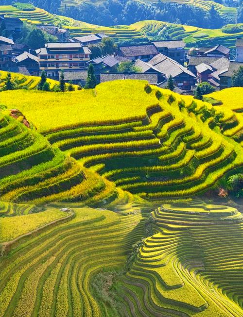 龙脊梯田旅游景点介绍，龙脊梯田怎么样值得去吗?-第2张图片