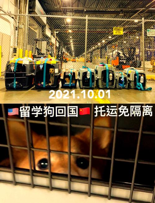 去关岛要隔离吗现在能去吗,去关岛需要多少钱-第1张图片 去关岛要隔离吗现在能去吗,去关岛需要多少钱-第1张图片