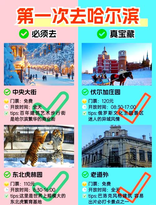 哈尔滨旅游必去景点推荐一下(哈尔滨旅游必去的景点推荐)-第1张图片 哈尔滨旅游必去景点推荐一下(哈尔滨旅游必去的景点推荐)-第1张图片