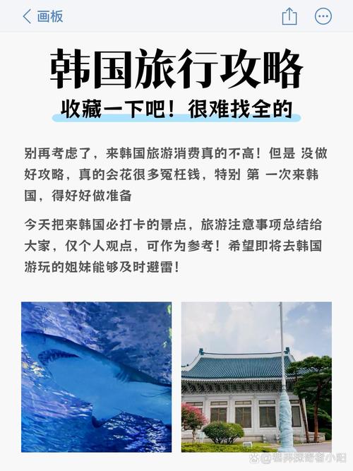 韩国旅游线路为什么关闭 - 韩国旅游开放没-第4张图片