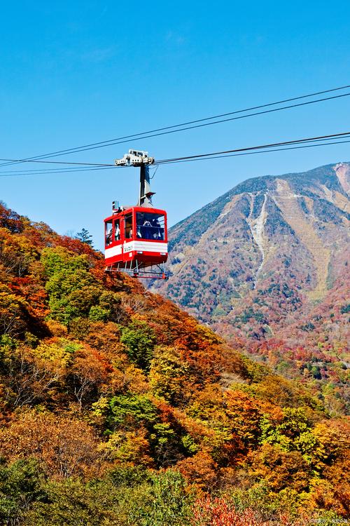 泰山旅游门票免费吗最新消息新闻,泰山门票免费2021-第5张图片 泰山旅游门票免费吗最新消息新闻,泰山门票免费2021-第5张图片
