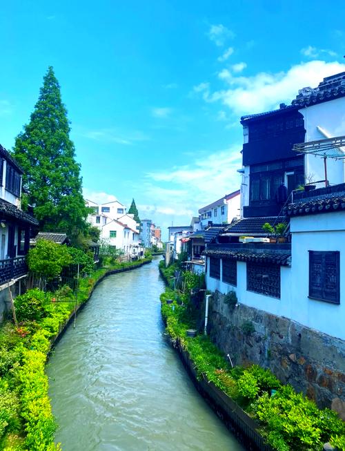 上海金山旅游景区民房值钱吗,上海金山民宿旅游攻略-第1张图片 上海金山旅游景区民房值钱吗,上海金山民宿旅游攻略-第1张图片