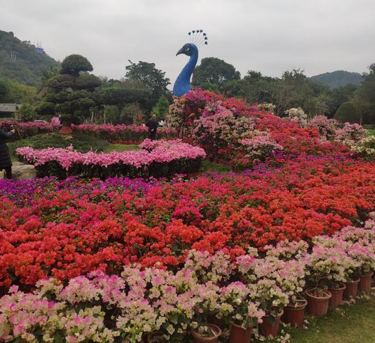 兴林曲柳川生态园，曲柳川风景区-第2张图片
