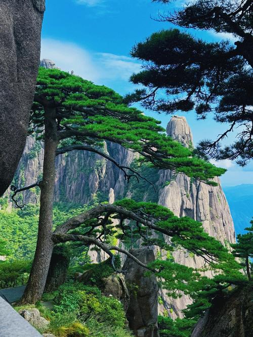 黄山旅游前十景点推荐(黄山旅游景点大全景点排名榜)-第3张图片 黄山旅游前十景点推荐(黄山旅游景点大全景点排名榜)-第3张图片