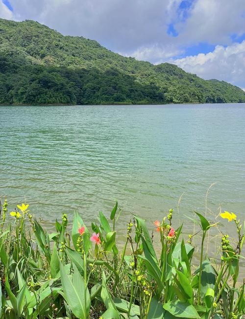 广州市从化区旅游景点 - 广州市从化区旅游景点排名-第3张图片 广州市从化区旅游景点 - 广州市从化区旅游景点排名-第3张图片