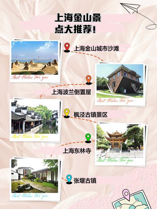 上海金山游玩的地方,上海金山玩的地方有吗-第6张图片 上海金山游玩的地方,上海金山玩的地方有吗-第6张图片