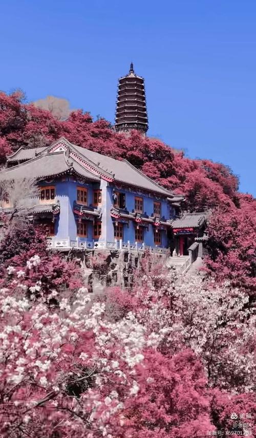 抚顺旅游景点有哪些地方抚顺高尔山4月份有花吗(抚顺高尔山开吗)-第2张图片 抚顺旅游景点有哪些地方抚顺高尔山4月份有花吗(抚顺高尔山开吗)-第2张图片