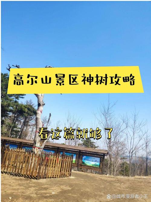 抚顺旅游景点有哪些地方抚顺高尔山4月份有花吗(抚顺高尔山开吗)-第4张图片 抚顺旅游景点有哪些地方抚顺高尔山4月份有花吗(抚顺高尔山开吗)-第4张图片