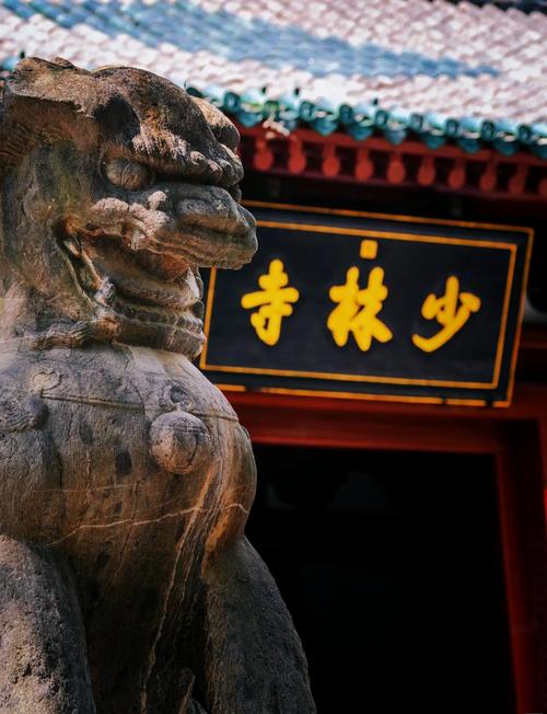 嵩山少林寺发展历史(嵩山少林寺历史文化价值)-第2张图片 嵩山少林寺发展历史(嵩山少林寺历史文化价值)-第2张图片
