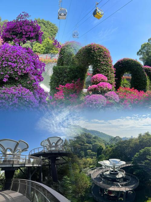 广州白云景点大全(广州白云旅游景点大全)-第4张图片 广州白云景点大全(广州白云旅游景点大全)-第4张图片