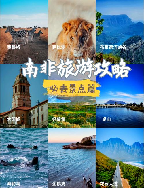 南非旅游安全吗,南非旅游好玩吗-第1张图片 南非旅游安全吗,南非旅游好玩吗-第1张图片