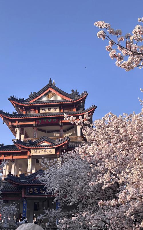 无锡旅游必去前十景点惠山古镇(无锡惠山古镇风景图片)-第5张图片 无锡旅游必去前十景点惠山古镇(无锡惠山古镇风景图片)-第5张图片