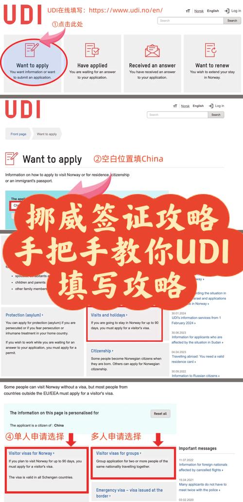 去挪威的签证好办吗 - 挪威旅行签证要求-第3张图片 去挪威的签证好办吗 - 挪威旅行签证要求-第3张图片