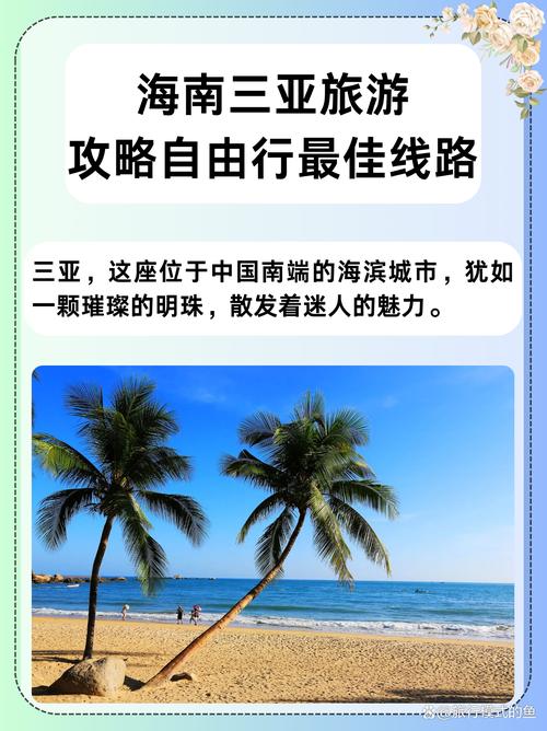 三亚旅游攻略自由行最佳线路费用(三亚旅游攻略自由行2021)-第5张图片 三亚旅游攻略自由行最佳线路费用(三亚旅游攻略自由行2021)-第5张图片
