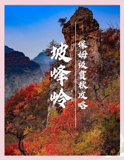 房山旅游景点大全免费开放政策 - 房山旅游景点大全免费开放政策最新-第1张图片 房山旅游景点大全免费开放政策 - 房山旅游景点大全免费开放政策最新-第1张图片