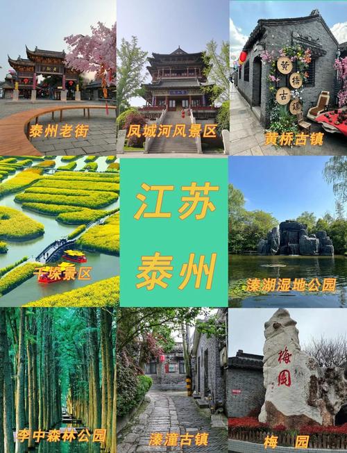 泰州旅游景点大全有哪些景点介绍一下 - 泰州旅游景点大全有哪些景点介绍一下你的家乡-第2张图片 泰州旅游景点大全有哪些景点介绍一下 - 泰州旅游景点大全有哪些景点介绍一下你的家乡-第2张图片