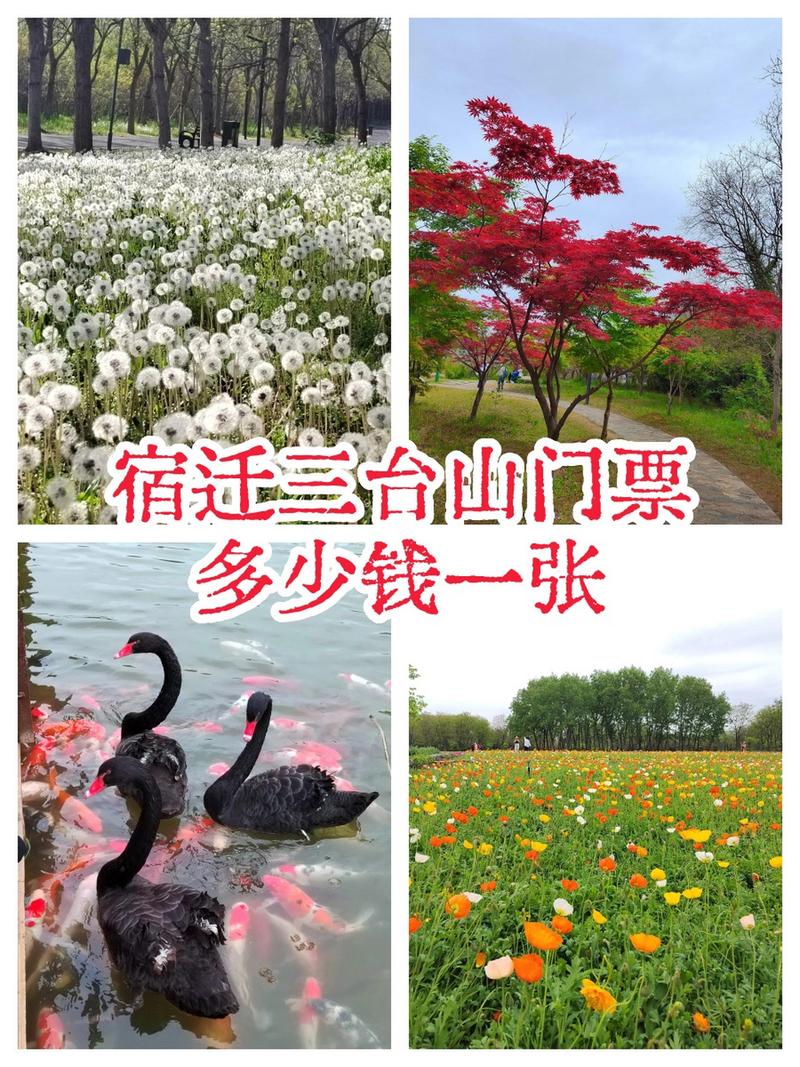 宿迁旅游景点门票费用查询 - 宿迁旅游攻略景点必去-第2张图片 宿迁旅游景点门票费用查询 - 宿迁旅游攻略景点必去-第2张图片