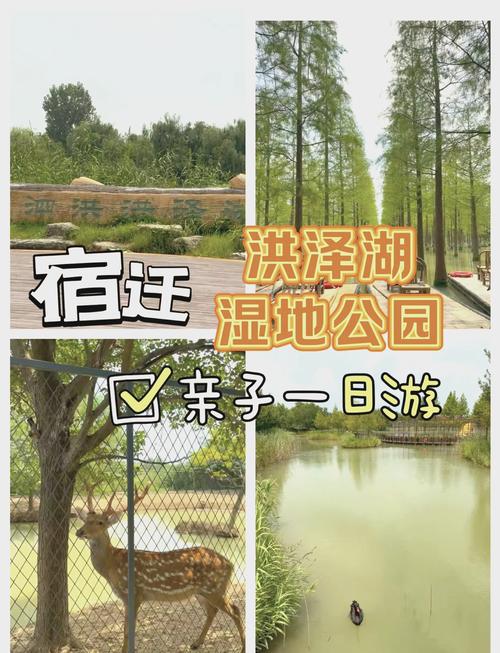 宿迁旅游景点门票费用查询 - 宿迁旅游攻略景点必去-第6张图片 宿迁旅游景点门票费用查询 - 宿迁旅游攻略景点必去-第6张图片