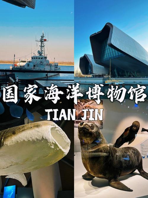 天津旅游景点及门票费用(天津旅游景点及门票费用查询)-第6张图片 天津旅游景点及门票费用(天津旅游景点及门票费用查询)-第6张图片