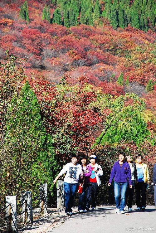 吉林红叶谷在什么地方,吉林红叶谷门票多少钱?-第1张图片 吉林红叶谷在什么地方,吉林红叶谷门票多少钱?-第1张图片