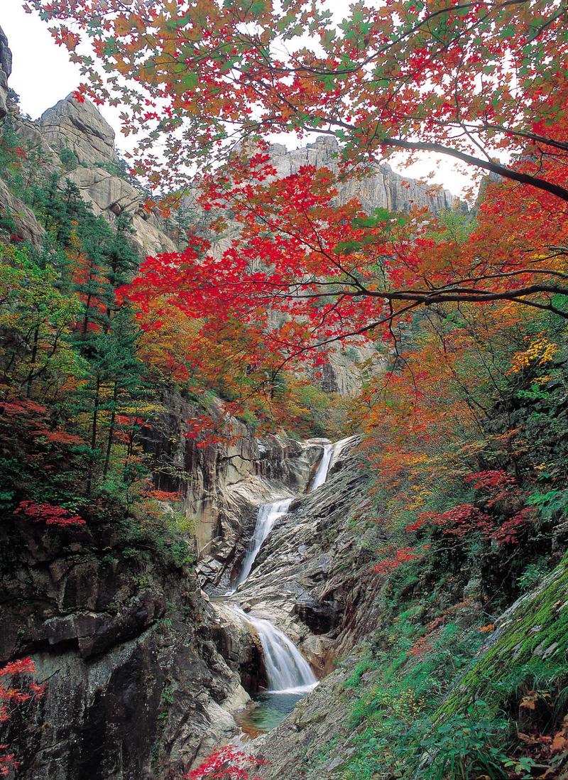 广东从化旅游景点介绍 - 广东从化旅游景点介绍图片-第3张图片 广东从化旅游景点介绍 - 广东从化旅游景点介绍图片-第3张图片