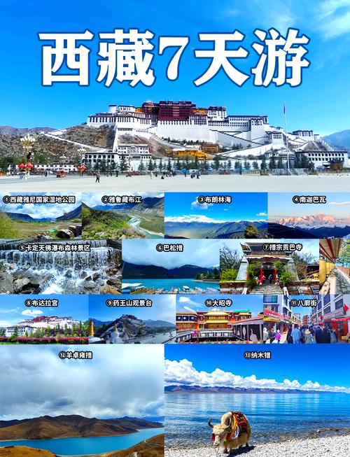 拉萨旅游景点排名 - 拉萨旅游景点排名前十名-第4张图片 拉萨旅游景点排名 - 拉萨旅游景点排名前十名-第4张图片