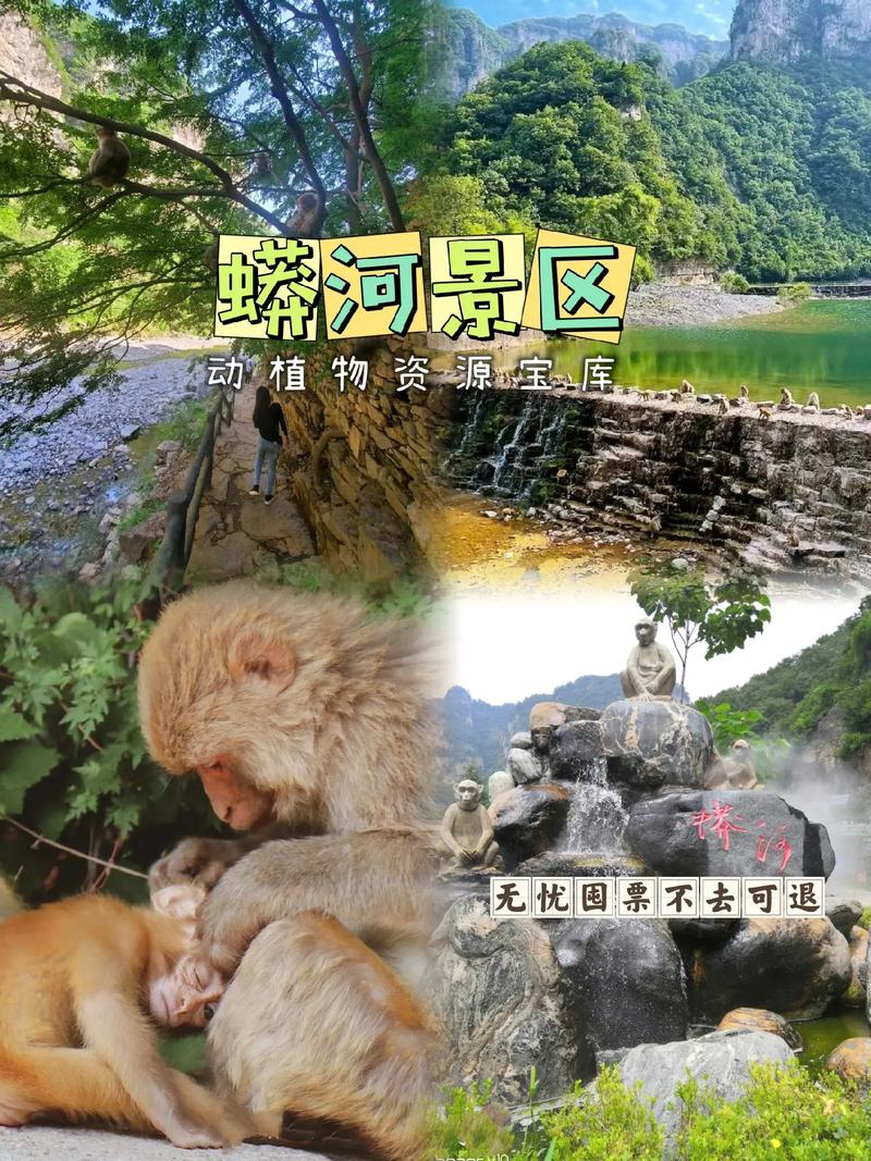 晋城蟒河一日游多少钱,晋城蟒河风景区住宿攻略-第1张图片 晋城蟒河一日游多少钱,晋城蟒河风景区住宿攻略-第1张图片